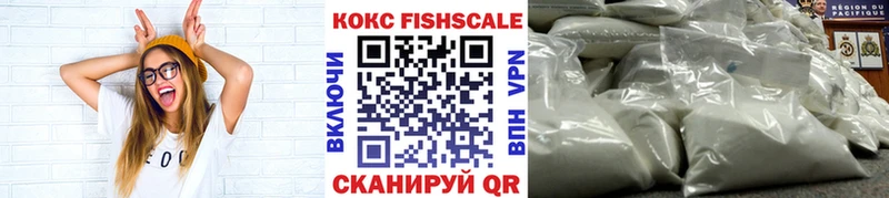 Купить закладки  Ветлуга  Cocaine Fish Scale 