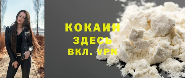 шишки Волоколамск