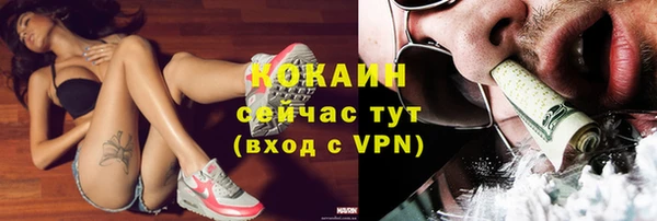 шишки Волоколамск