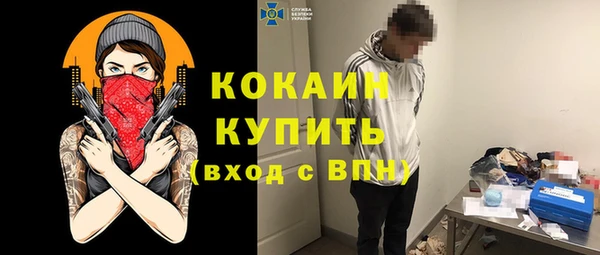 шишки Волоколамск