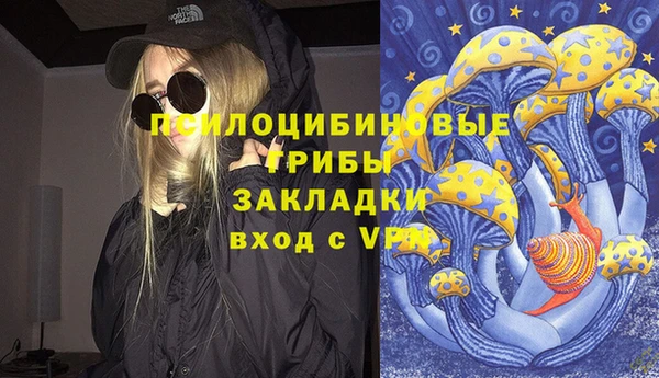 шишки Волоколамск