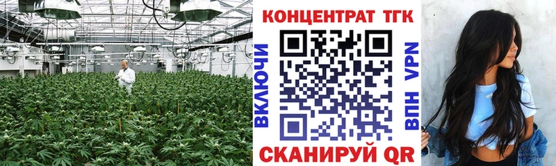 Купить закладки  Ветлуга  Дистиллят ТГК концентрат 